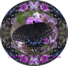 butterfly_marble_3 butterfly marble mandala