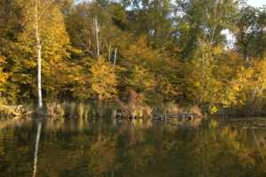 fall fiesta fishing in a blue canoe 2022 photography by Jill Annette Johnson http://www.saatchiart.com/jilljj