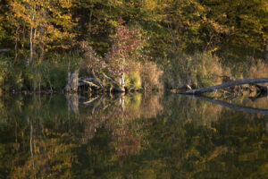 fall fiesta fishing in a blue canoe 2022 photography by Jill Annette Johnson http://www.saatchiart.com/jilljj