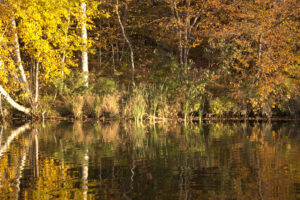 fall fiesta fishing in a blue canoe 2022 photography by Jill Annette Johnson http://www.saatchiart.com/jilljj