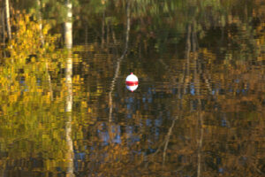 fall fiesta fishing in a blue canoe 2022 photography by Jill Annette Johnson http://www.saatchiart.com/jilljj